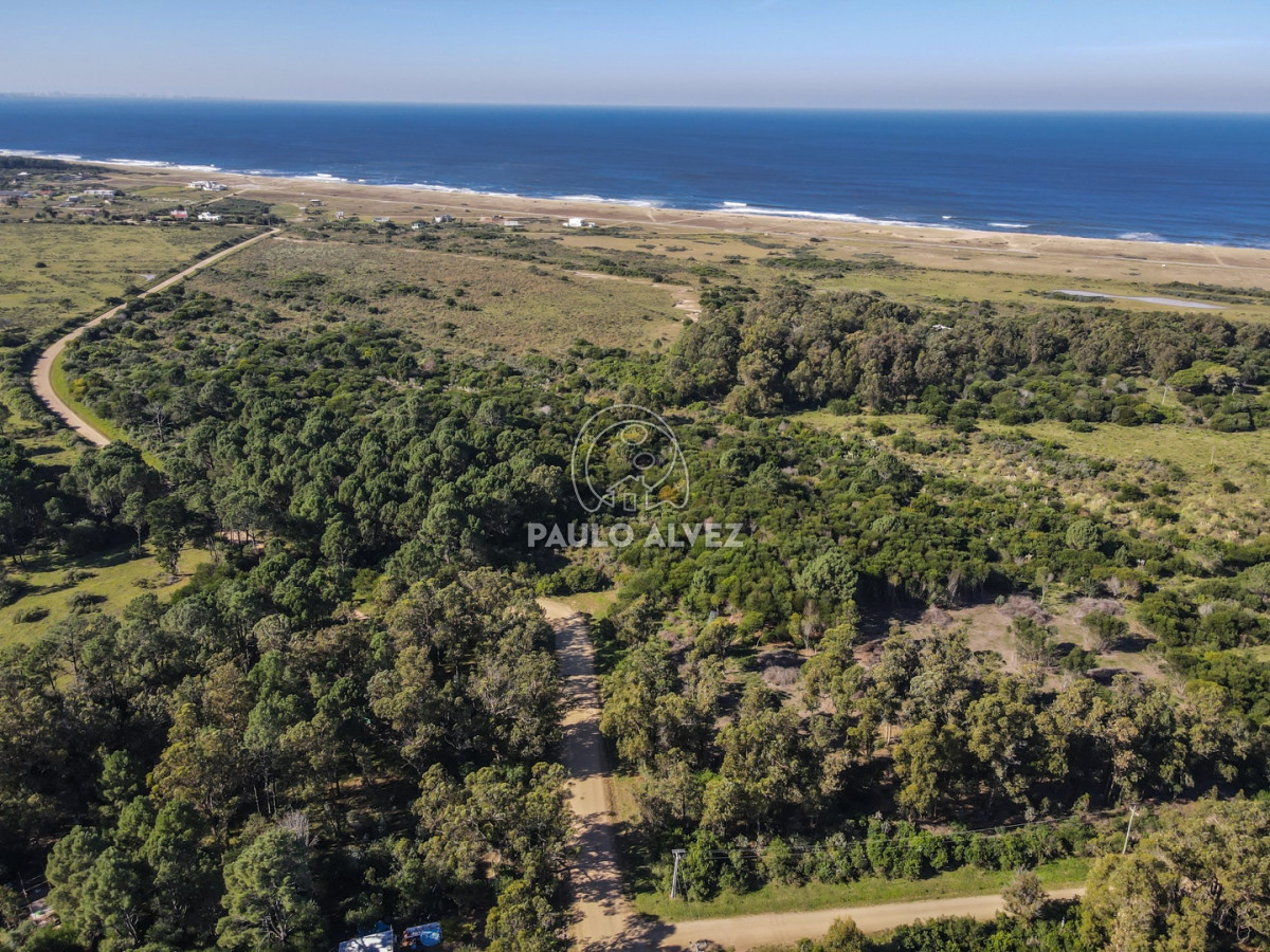 Punta Negra - GoPunta - Portal Inmobiliario de Punta del Este - Maldonado
