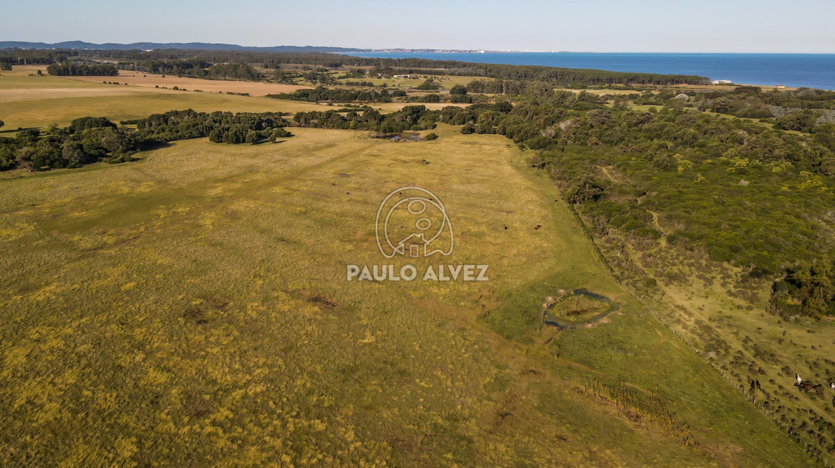 Barra Portezuelo - GoPunta - Portal Inmobiliario de Punta del Este - Maldonado