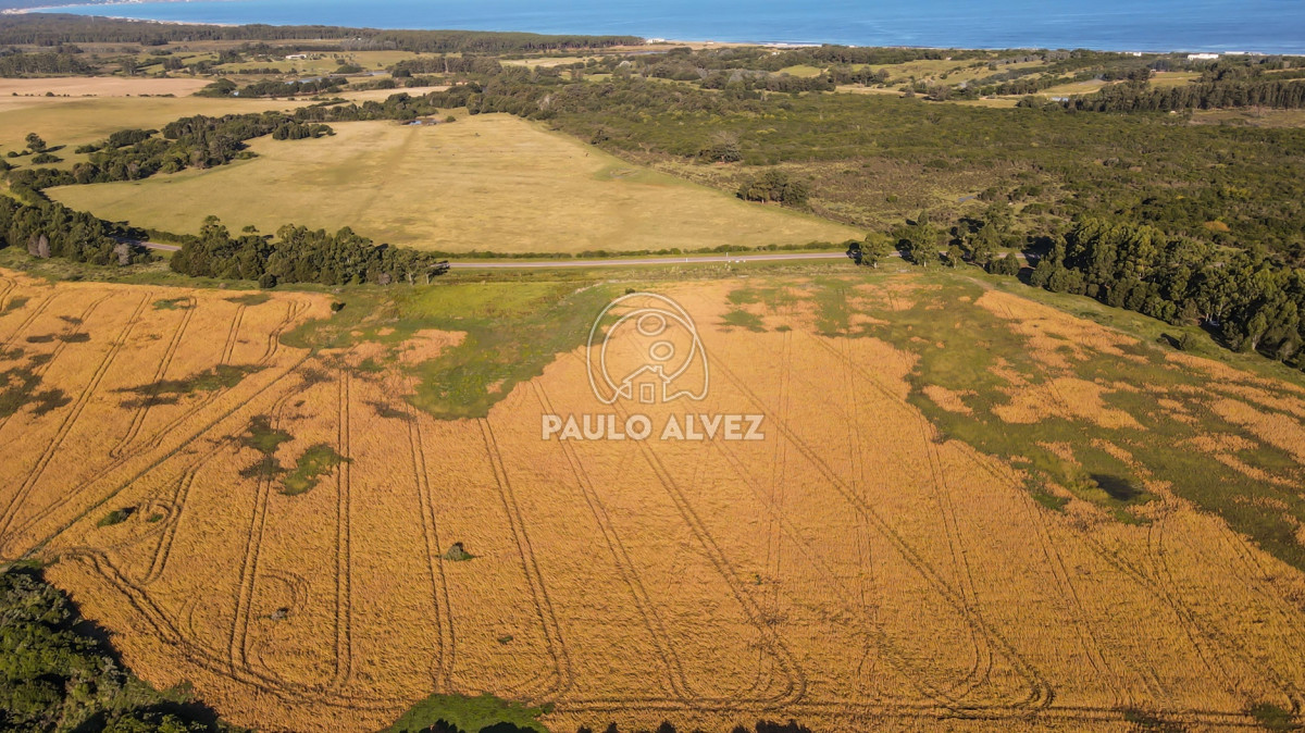 Barra Portezuelo - GoPunta - Portal Inmobiliario de Punta del Este - Maldonado