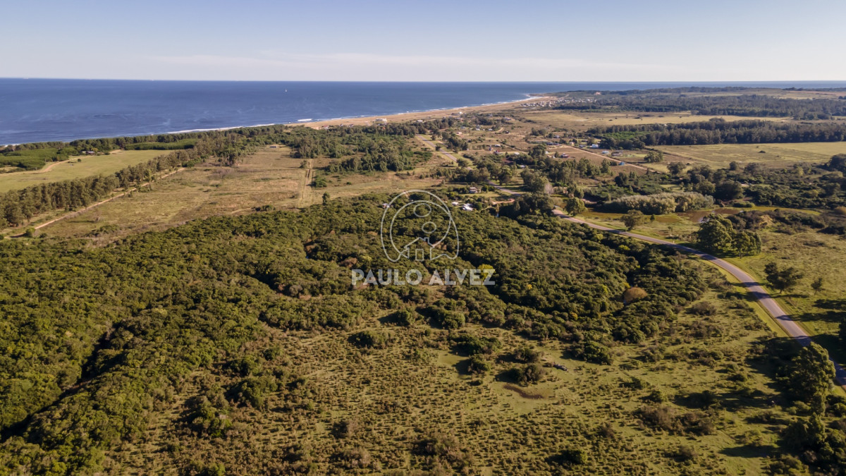 Barra Portezuelo - GoPunta - Portal Inmobiliario de Punta del Este - Maldonado