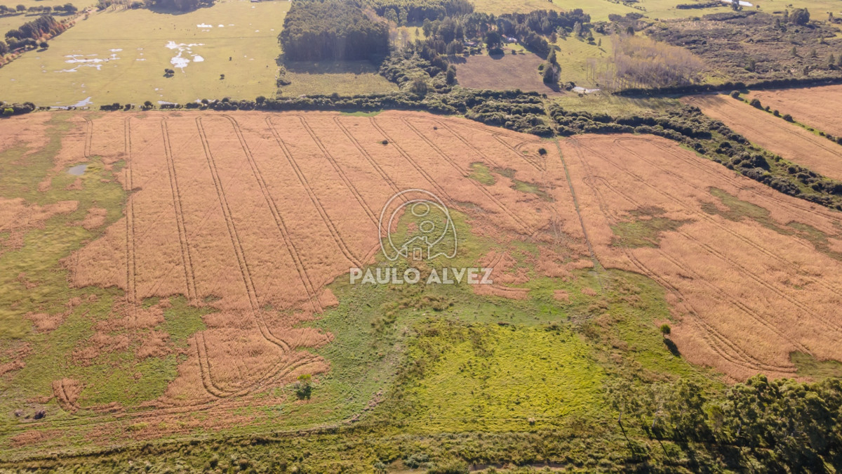 Barra Portezuelo - GoPunta - Portal Inmobiliario de Punta del Este - Maldonado