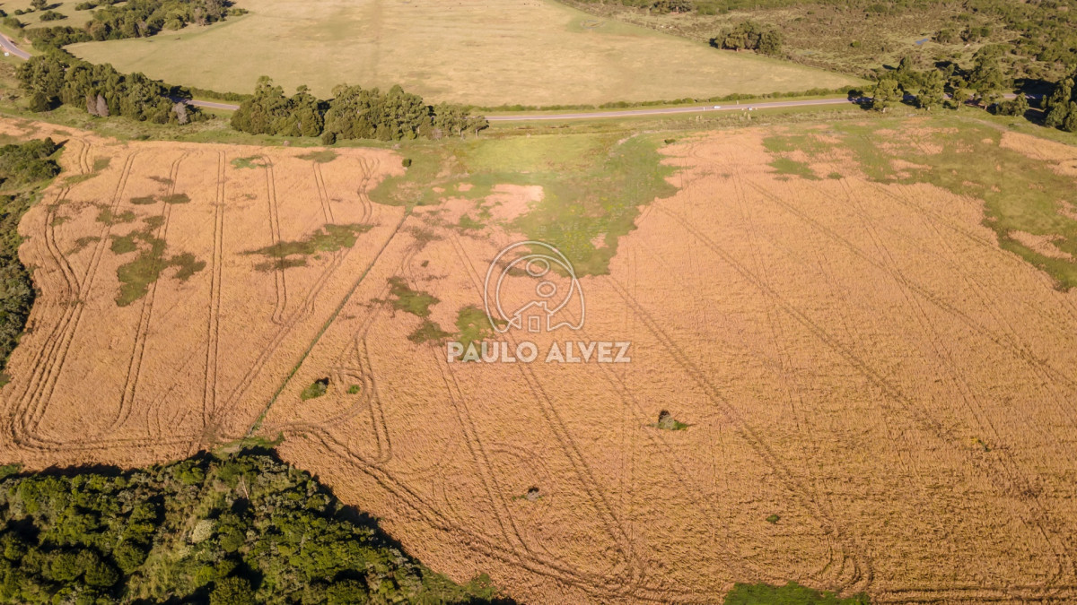 Barra Portezuelo - GoPunta - Portal Inmobiliario de Punta del Este - Maldonado