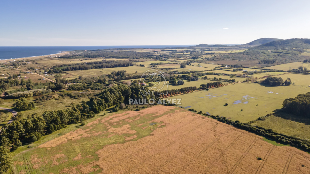 Barra Portezuelo - GoPunta - Portal Inmobiliario de Punta del Este - Maldonado