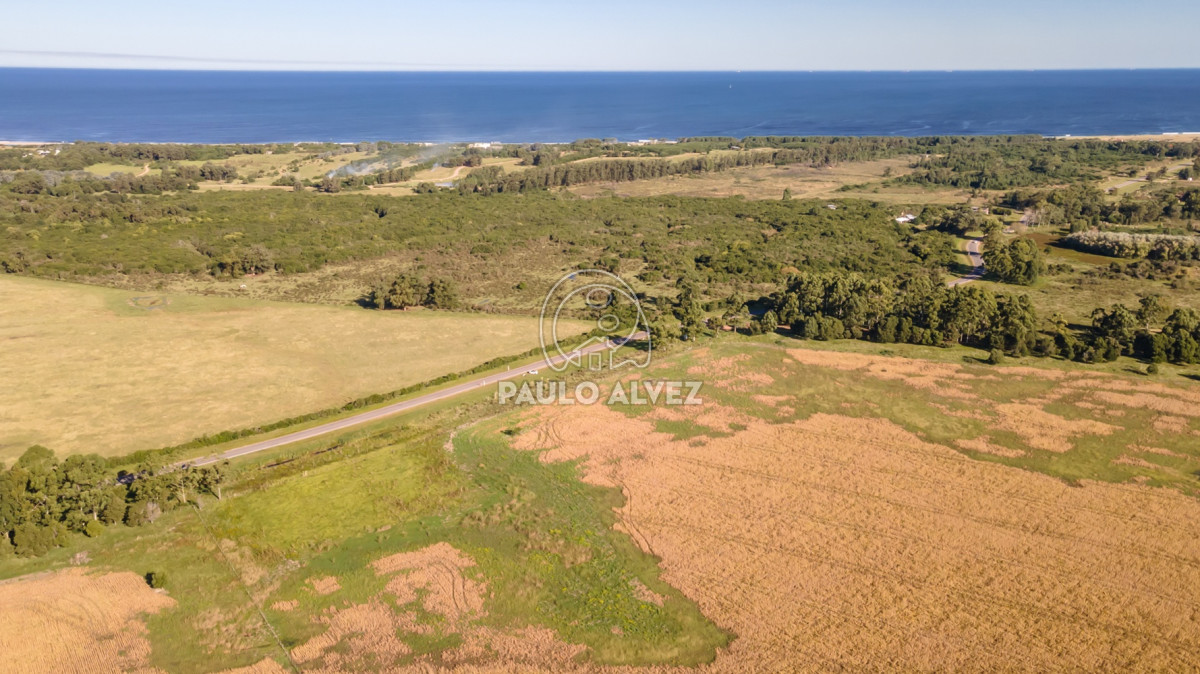 Barra Portezuelo - GoPunta - Portal Inmobiliario de Punta del Este - Maldonado