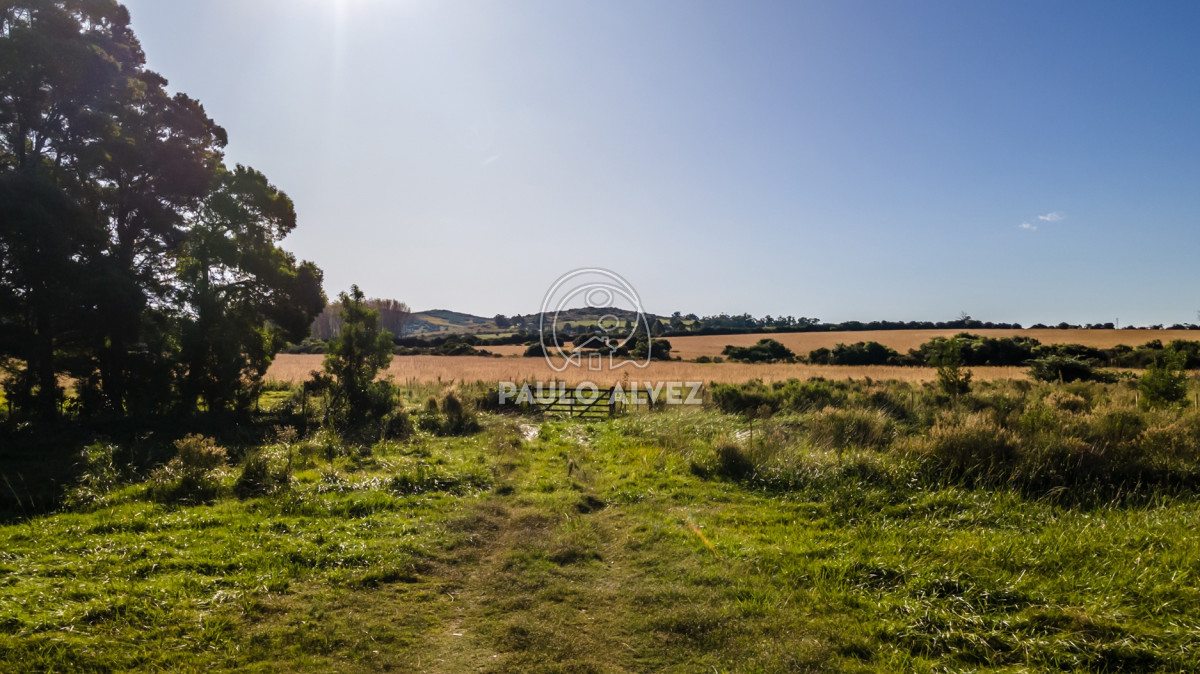 Barra Portezuelo - GoPunta - Portal Inmobiliario de Punta del Este - Maldonado