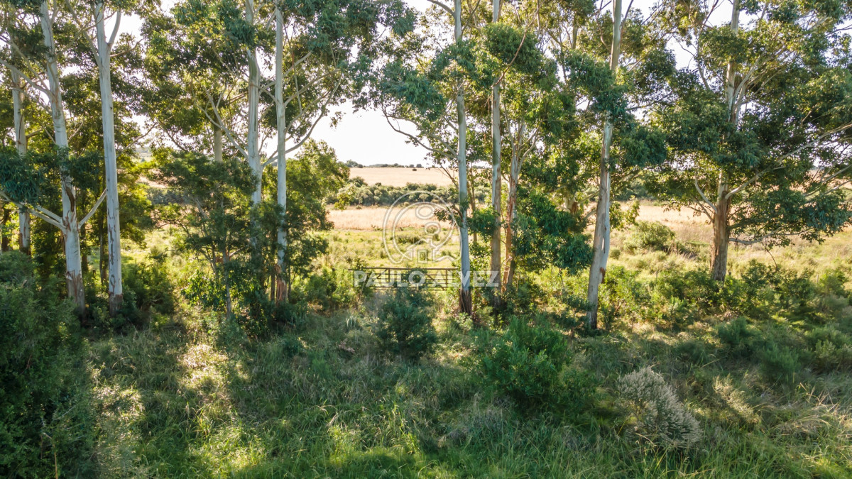 Barra Portezuelo - GoPunta - Portal Inmobiliario de Punta del Este - Maldonado