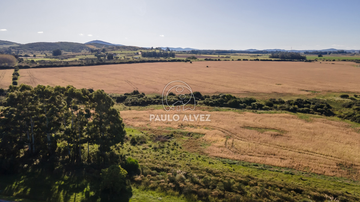 Barra Portezuelo - GoPunta - Portal Inmobiliario de Punta del Este - Maldonado