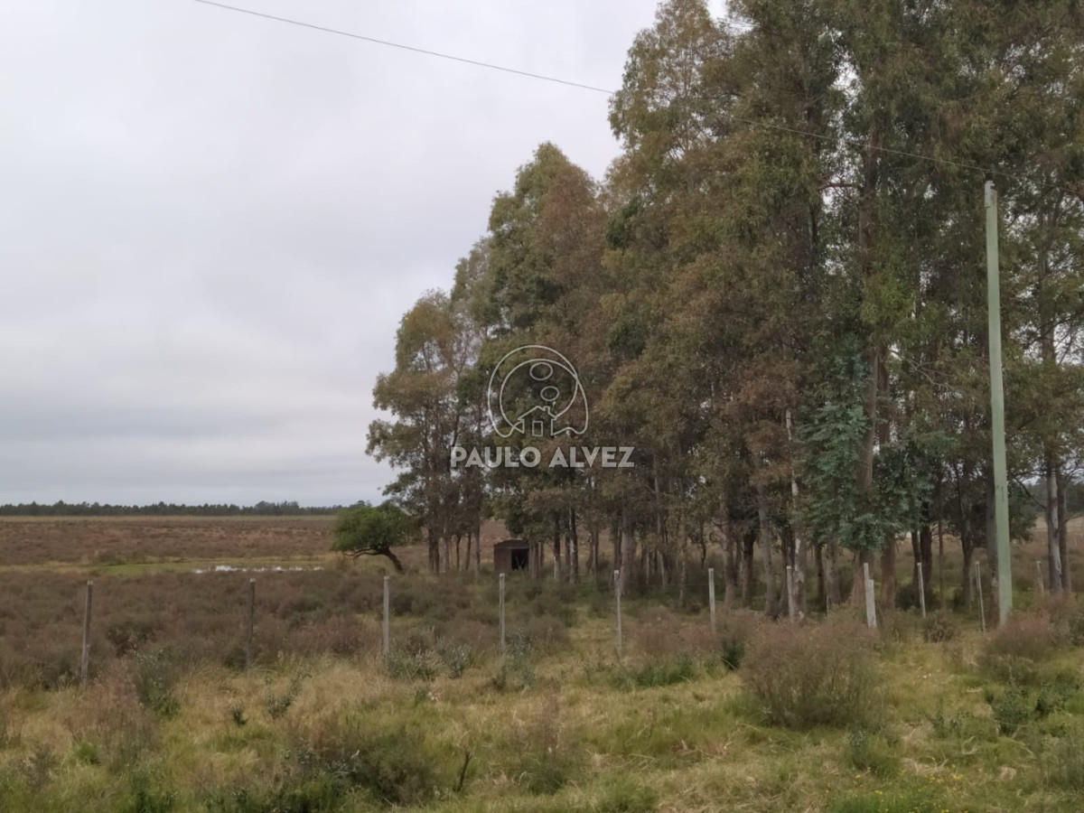 Soca - GoPunta - Portal Inmobiliario de Punta del Este - Maldonado