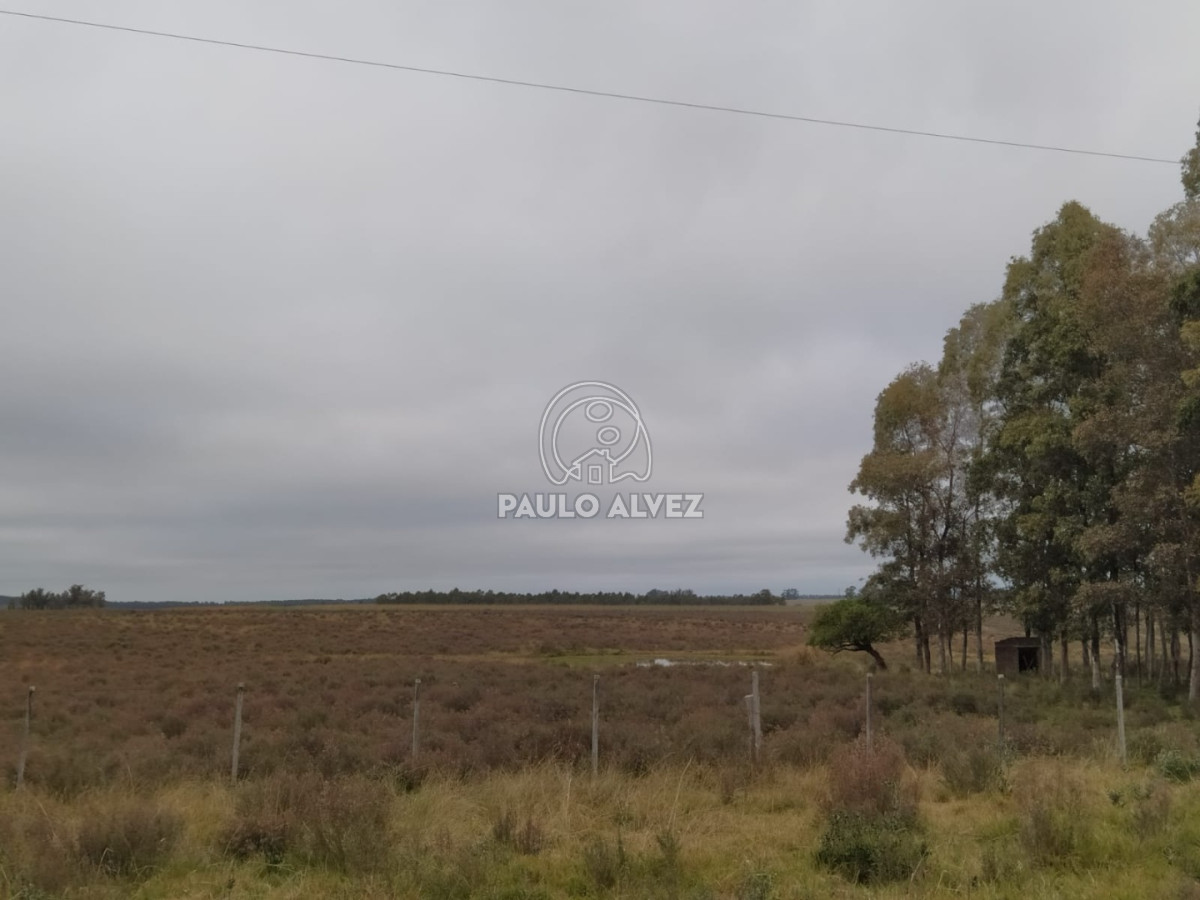 Soca - GoPunta - Portal Inmobiliario de Punta del Este - Maldonado