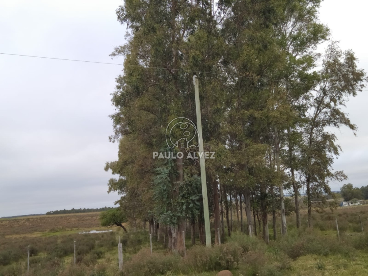 Soca - GoPunta - Portal Inmobiliario de Punta del Este - Maldonado