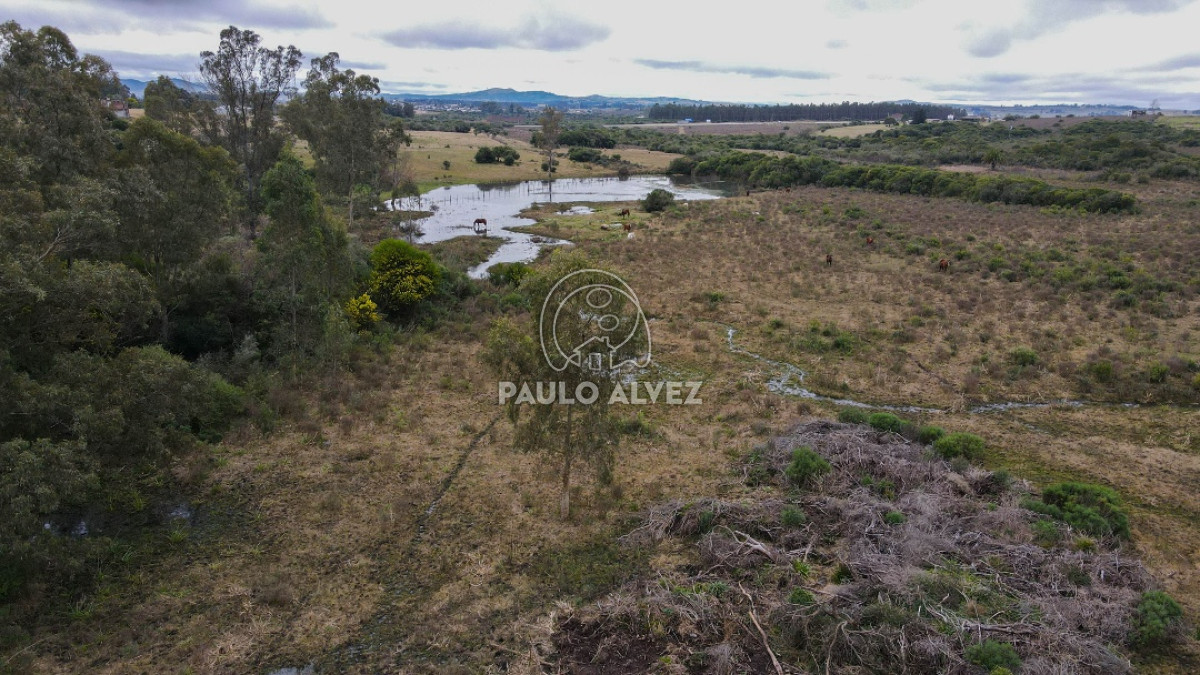 Piriápolis - GoPunta - Portal Inmobiliario de Punta del Este - Maldonado