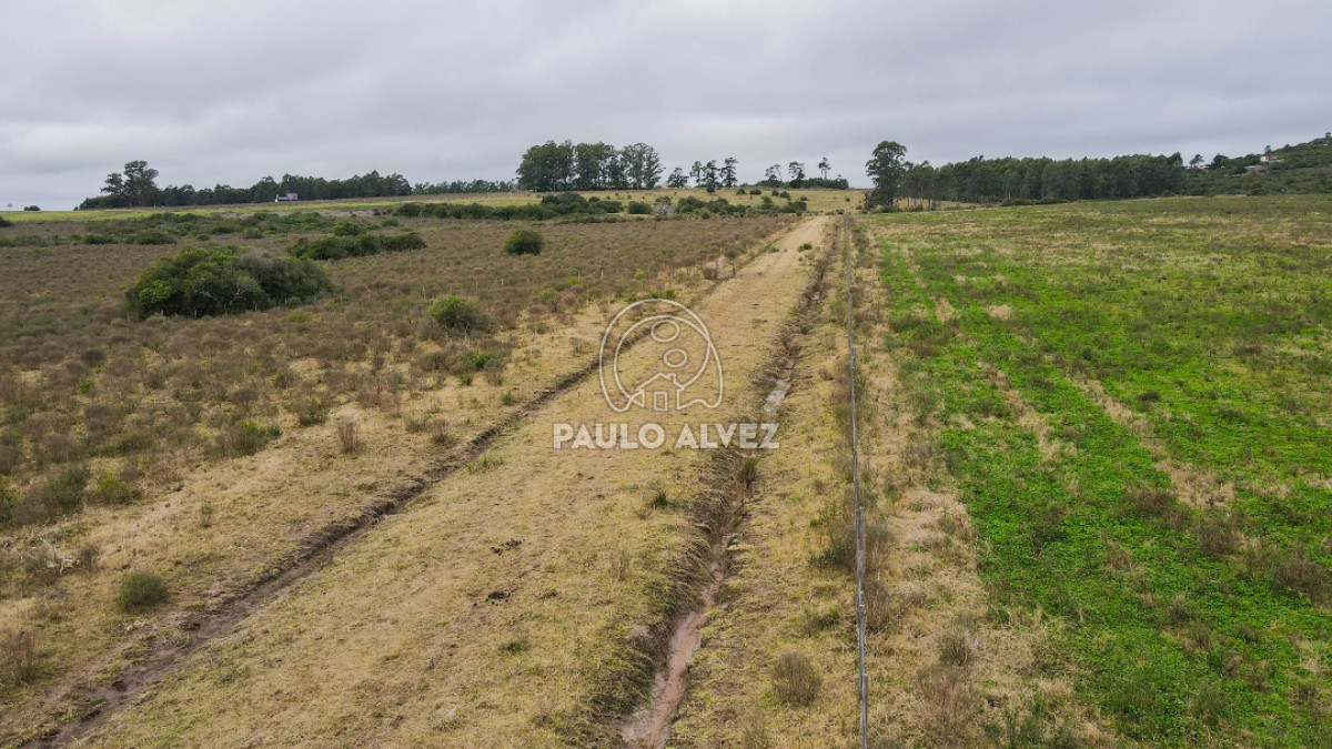 Piriápolis - GoPunta - Portal Inmobiliario de Punta del Este - Maldonado