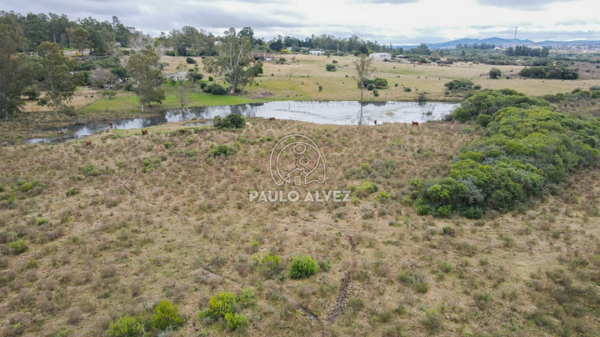 Piriápolis - GoPunta - Portal Inmobiliario de Punta del Este - Maldonado