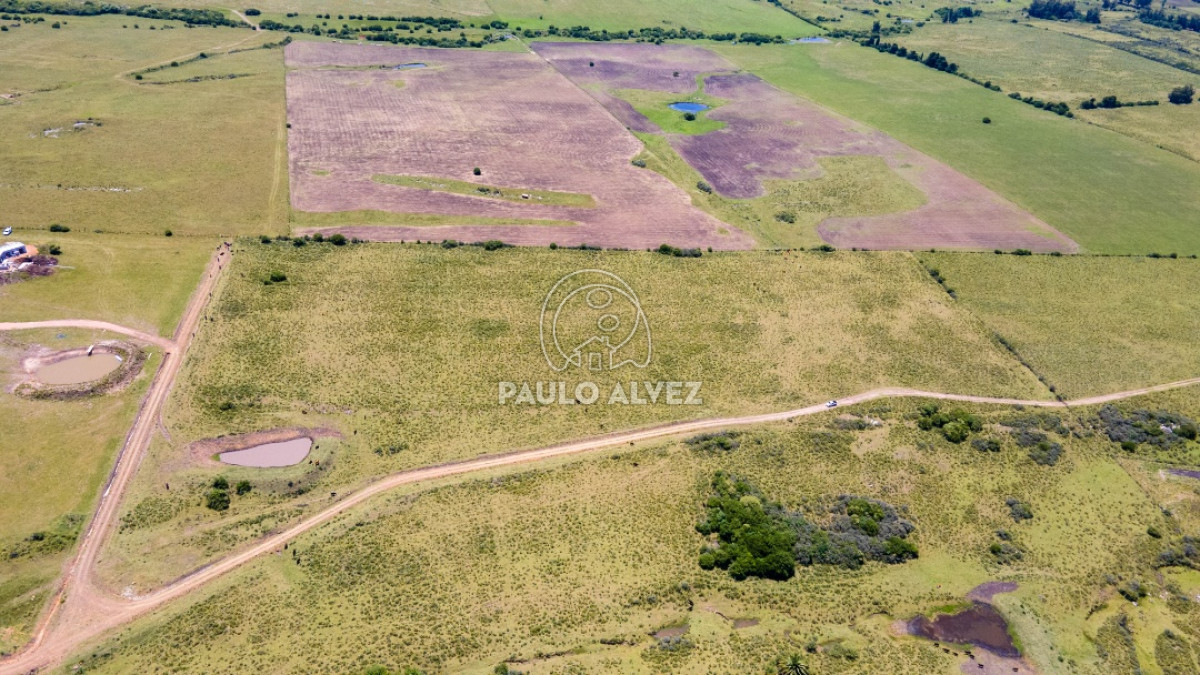 Pan de Azucar - GoPunta - Portal Inmobiliario de Punta del Este - Maldonado