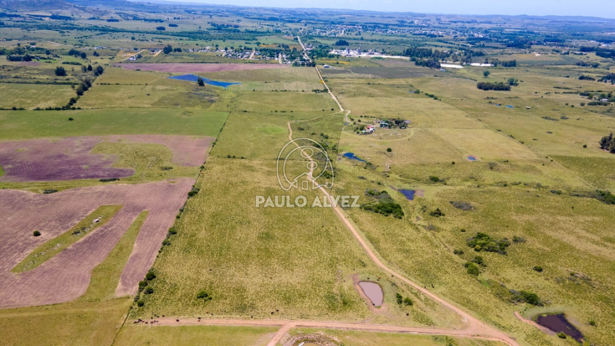 Pan de Azucar - GoPunta - Portal Inmobiliario de Punta del Este - Maldonado