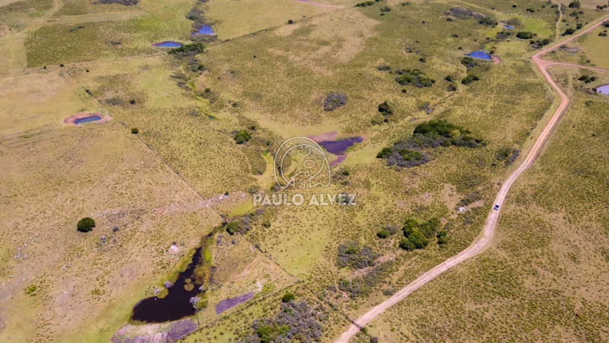 Pan de Azucar - GoPunta - Portal Inmobiliario de Punta del Este - Maldonado