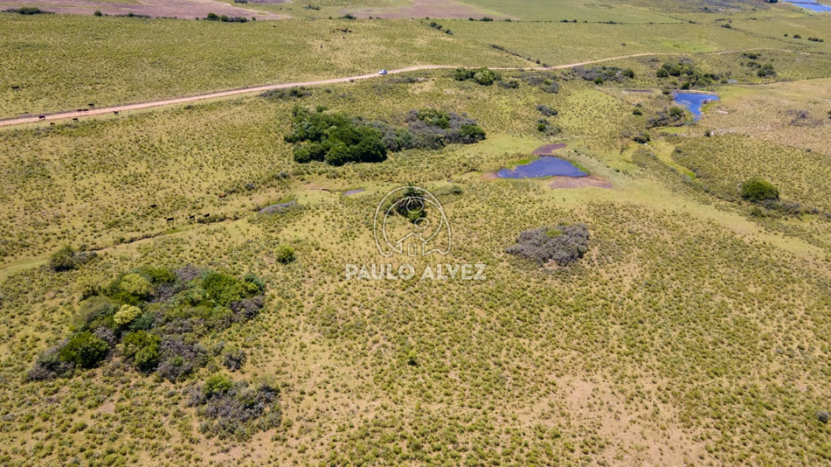 Pan de Azucar - GoPunta - Portal Inmobiliario de Punta del Este - Maldonado