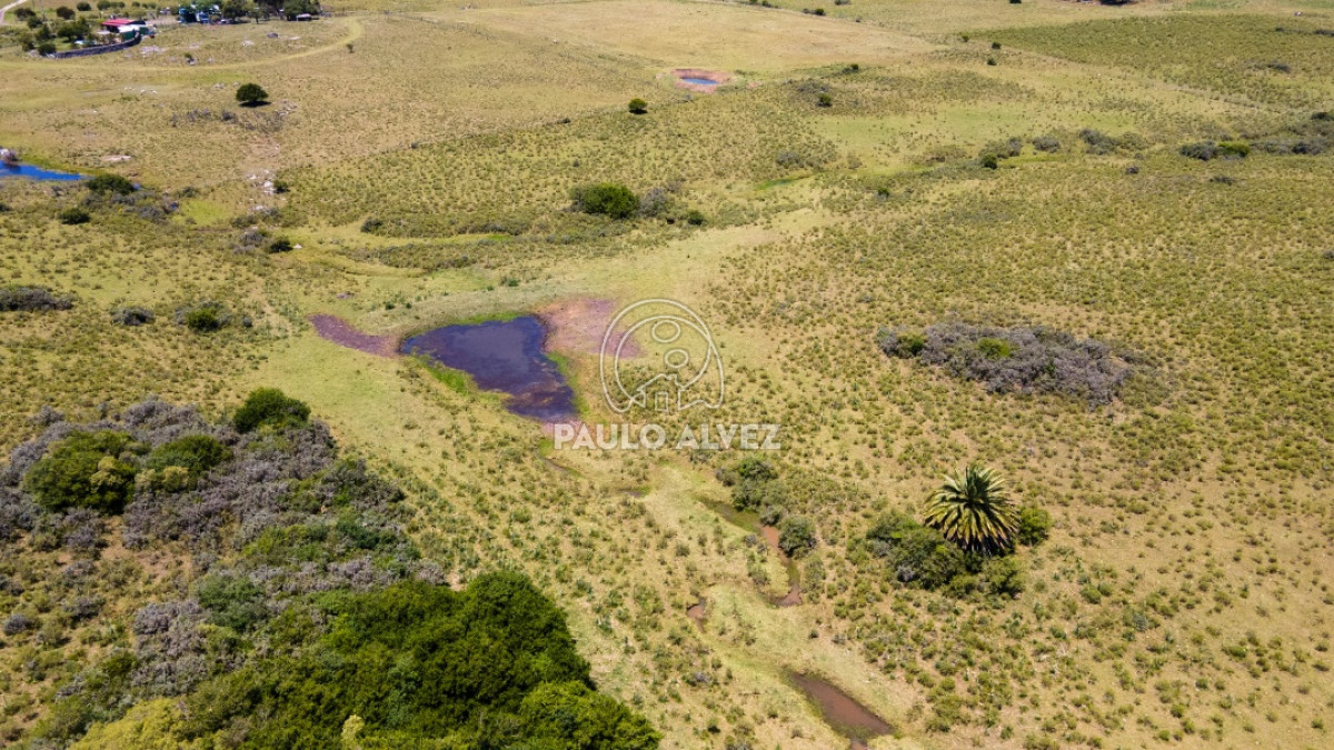 Pan de Azucar - GoPunta - Portal Inmobiliario de Punta del Este - Maldonado