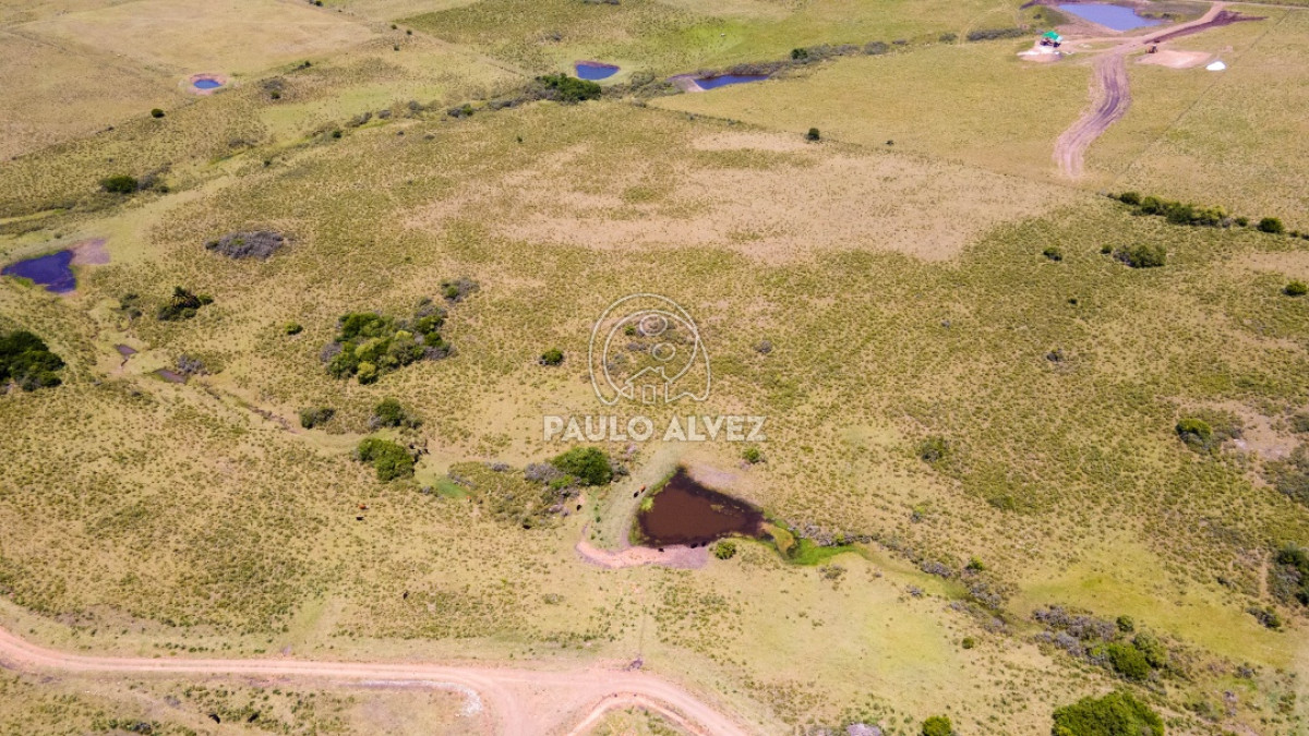 Pan de Azucar - GoPunta - Portal Inmobiliario de Punta del Este - Maldonado