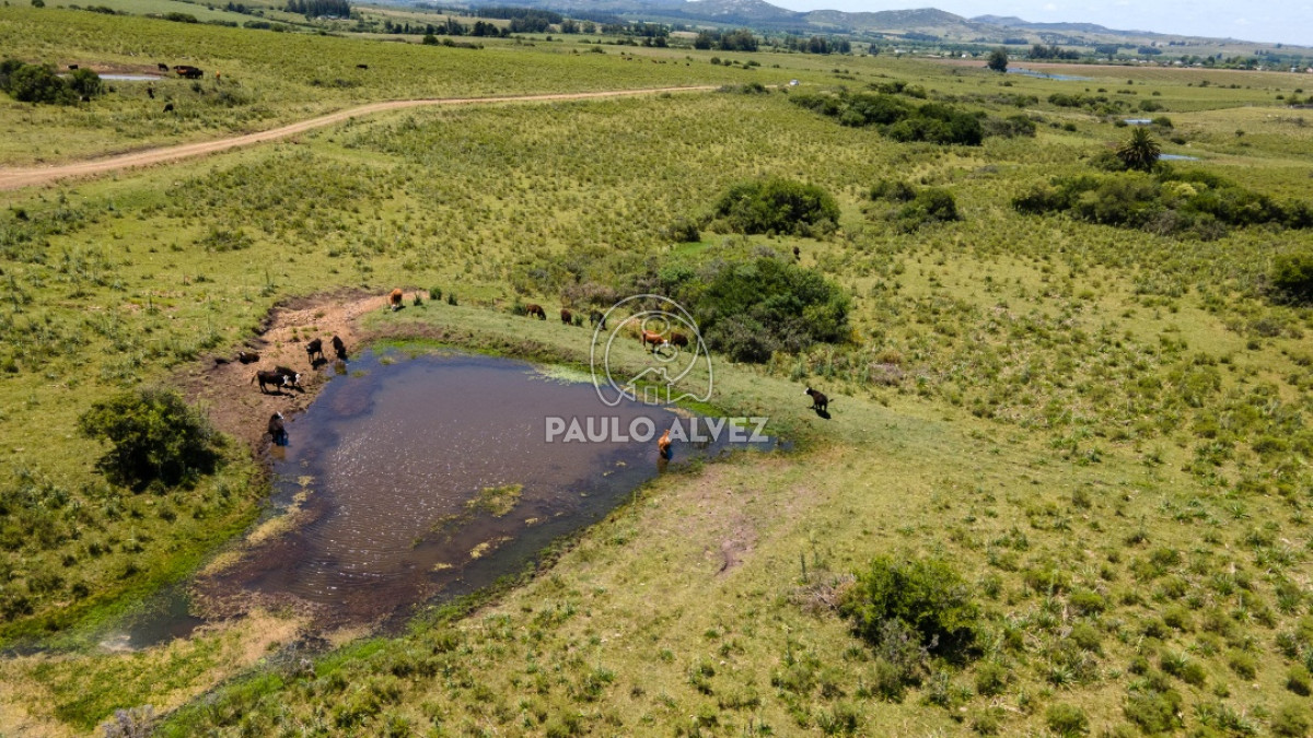 Pan de Azucar - GoPunta - Portal Inmobiliario de Punta del Este - Maldonado