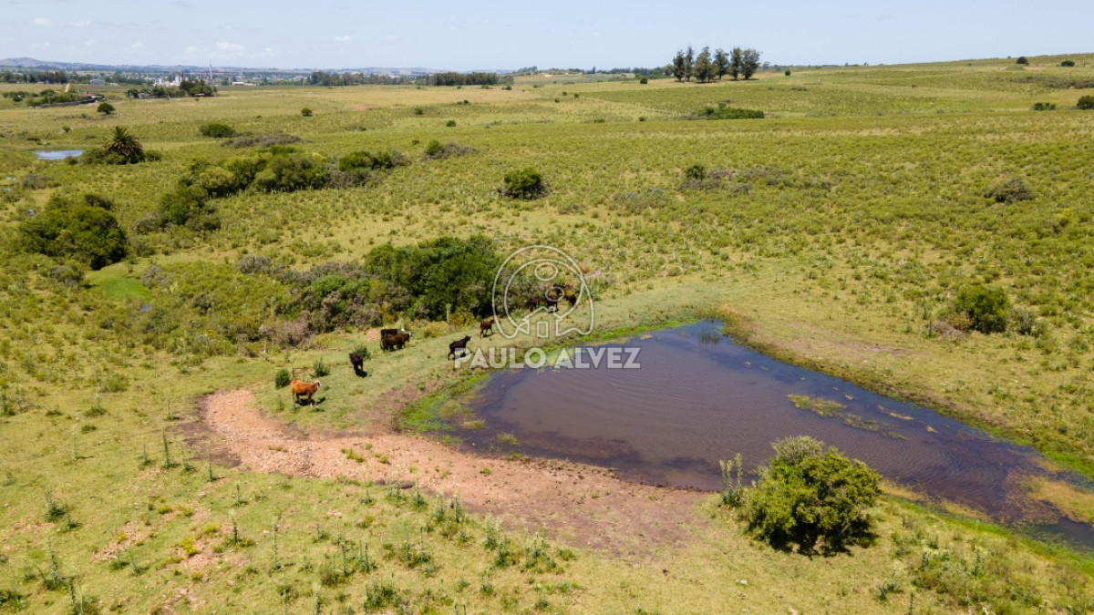 Pan de Azucar - GoPunta - Portal Inmobiliario de Punta del Este - Maldonado
