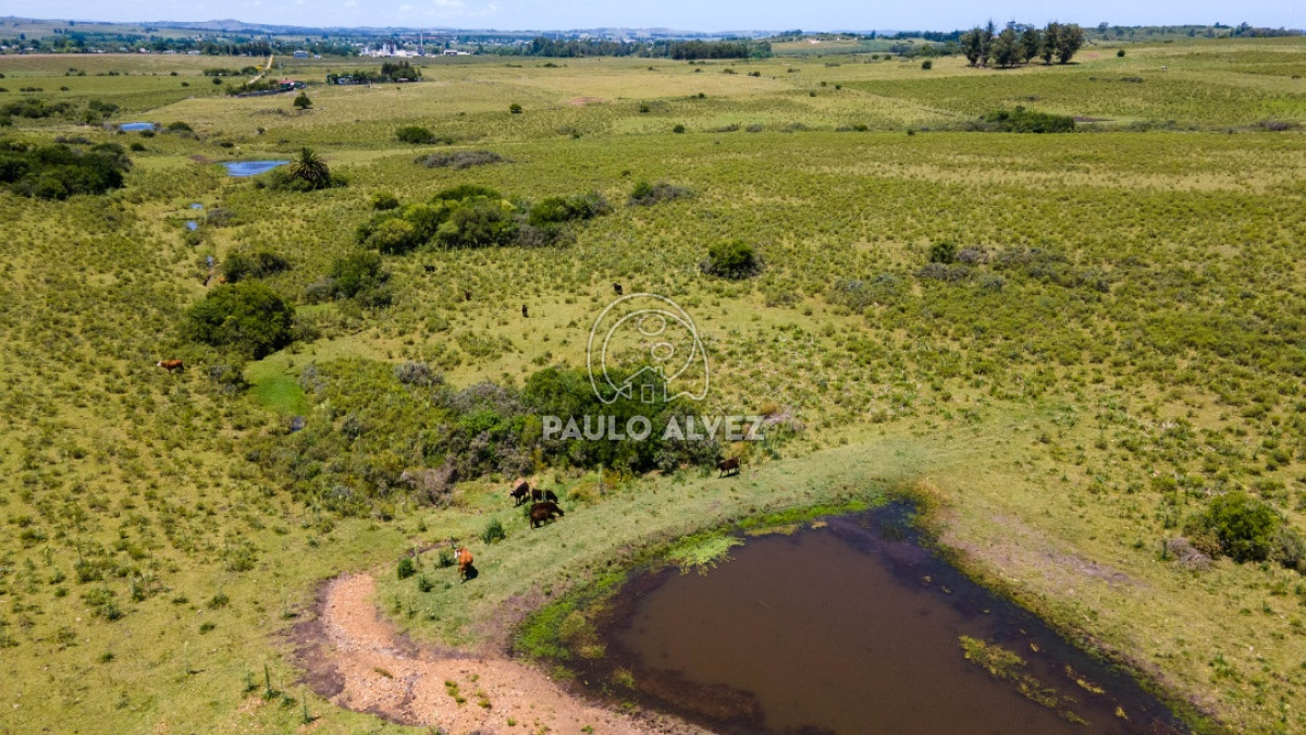 Pan de Azucar - GoPunta - Portal Inmobiliario de Punta del Este - Maldonado