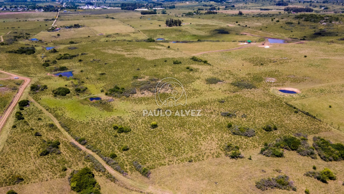 Pan de Azucar - GoPunta - Portal Inmobiliario de Punta del Este - Maldonado
