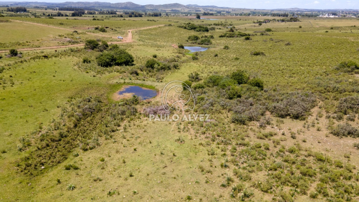 Pan de Azucar - GoPunta - Portal Inmobiliario de Punta del Este - Maldonado