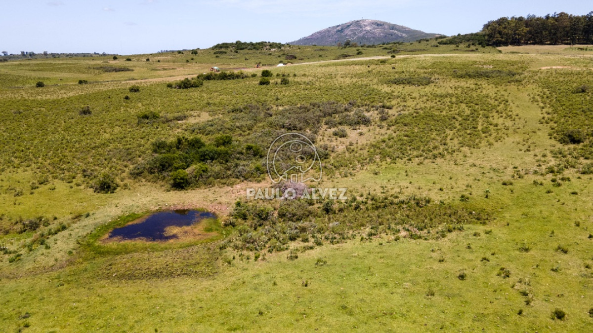 Pan de Azucar - GoPunta - Portal Inmobiliario de Punta del Este - Maldonado