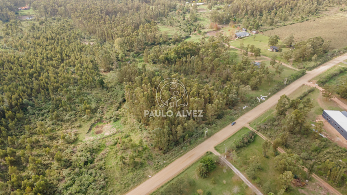 Piriápolis - GoPunta - Portal Inmobiliario de Punta del Este - Maldonado