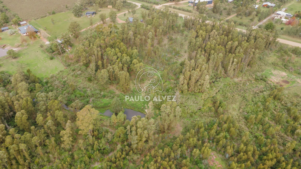 Piriápolis - GoPunta - Portal Inmobiliario de Punta del Este - Maldonado