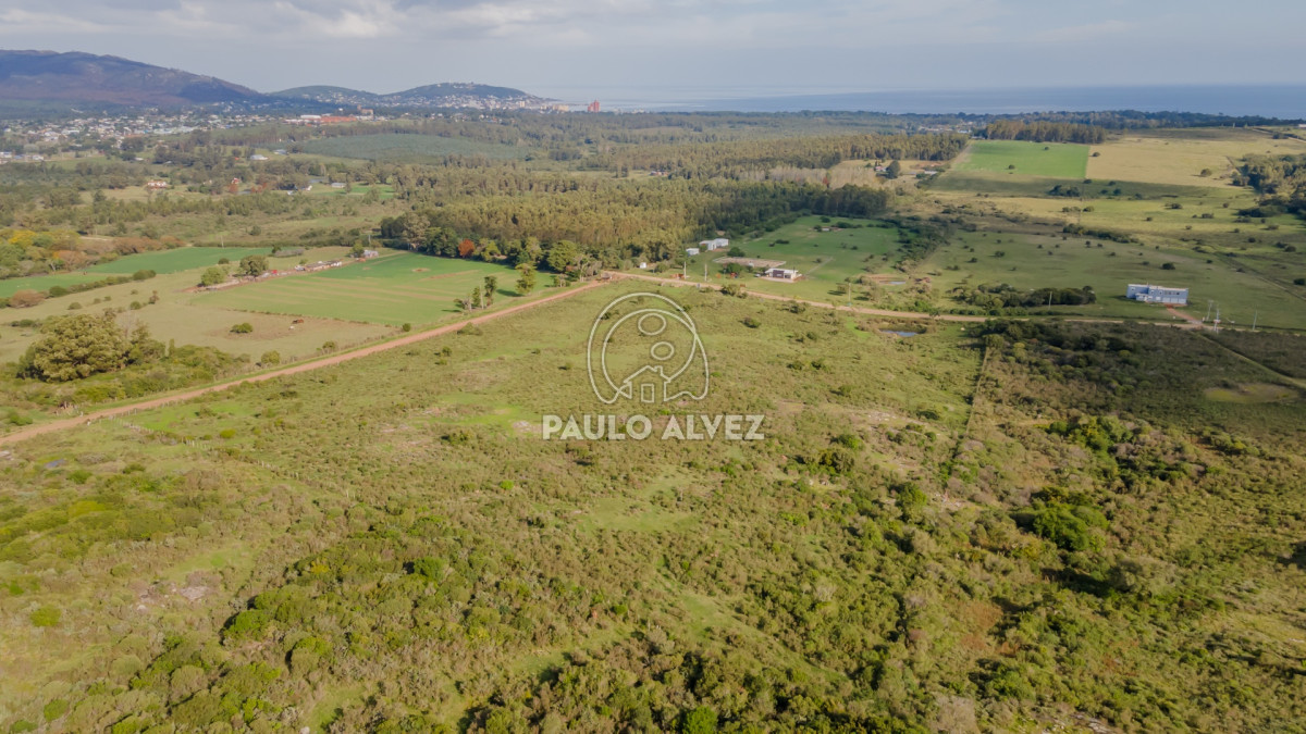 Piriápolis - GoPunta - Portal Inmobiliario de Punta del Este - Maldonado