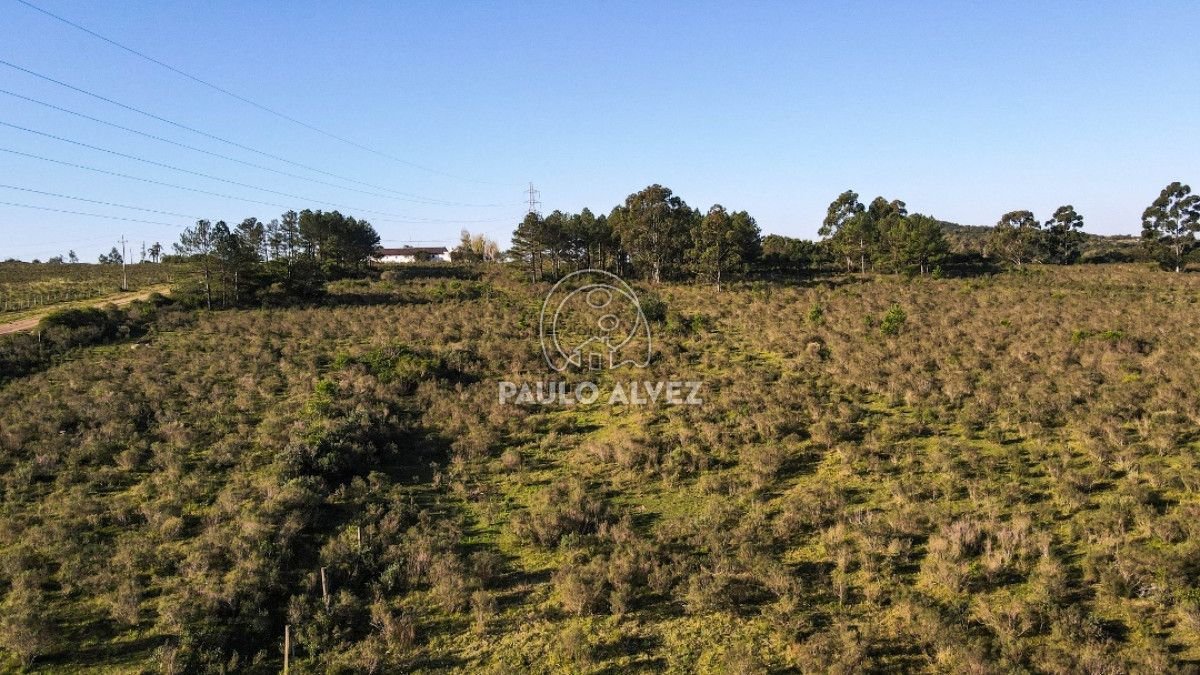 Piriápolis - GoPunta - Portal Inmobiliario de Punta del Este - Maldonado