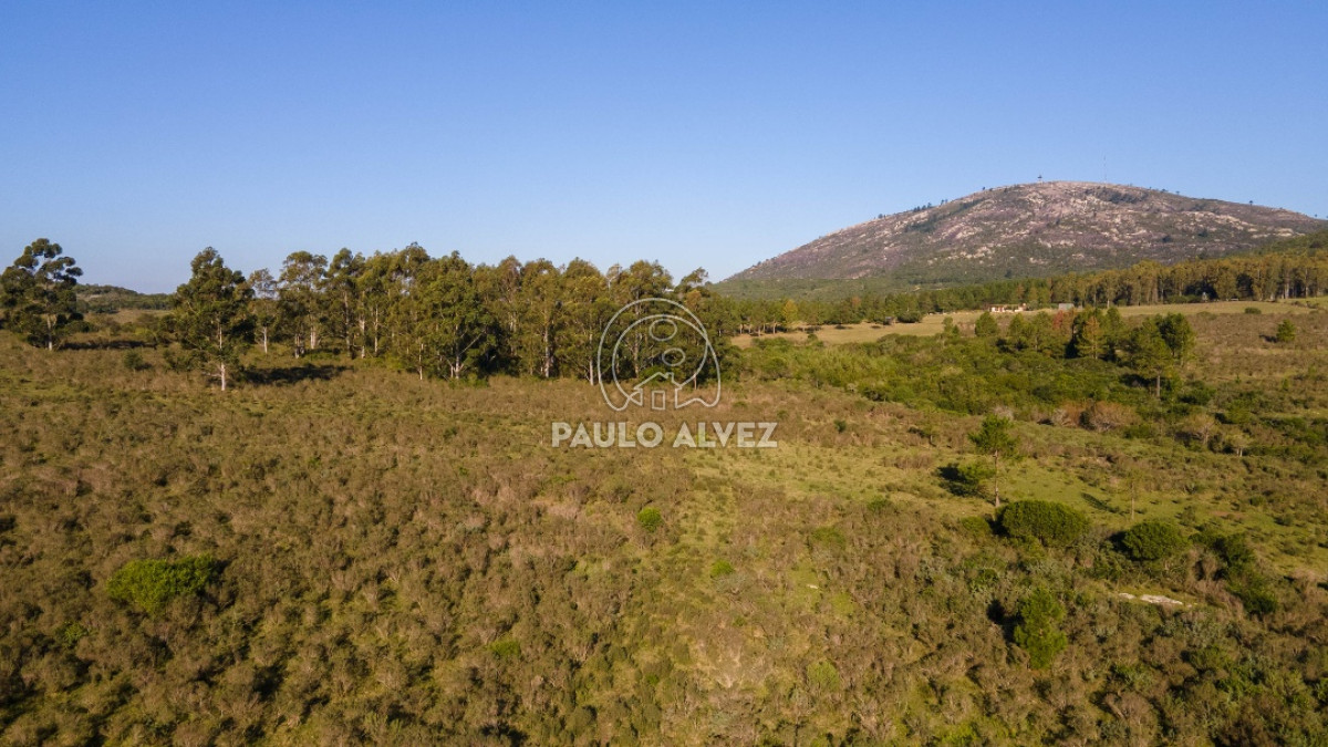 Piriápolis - GoPunta - Portal Inmobiliario de Punta del Este - Maldonado