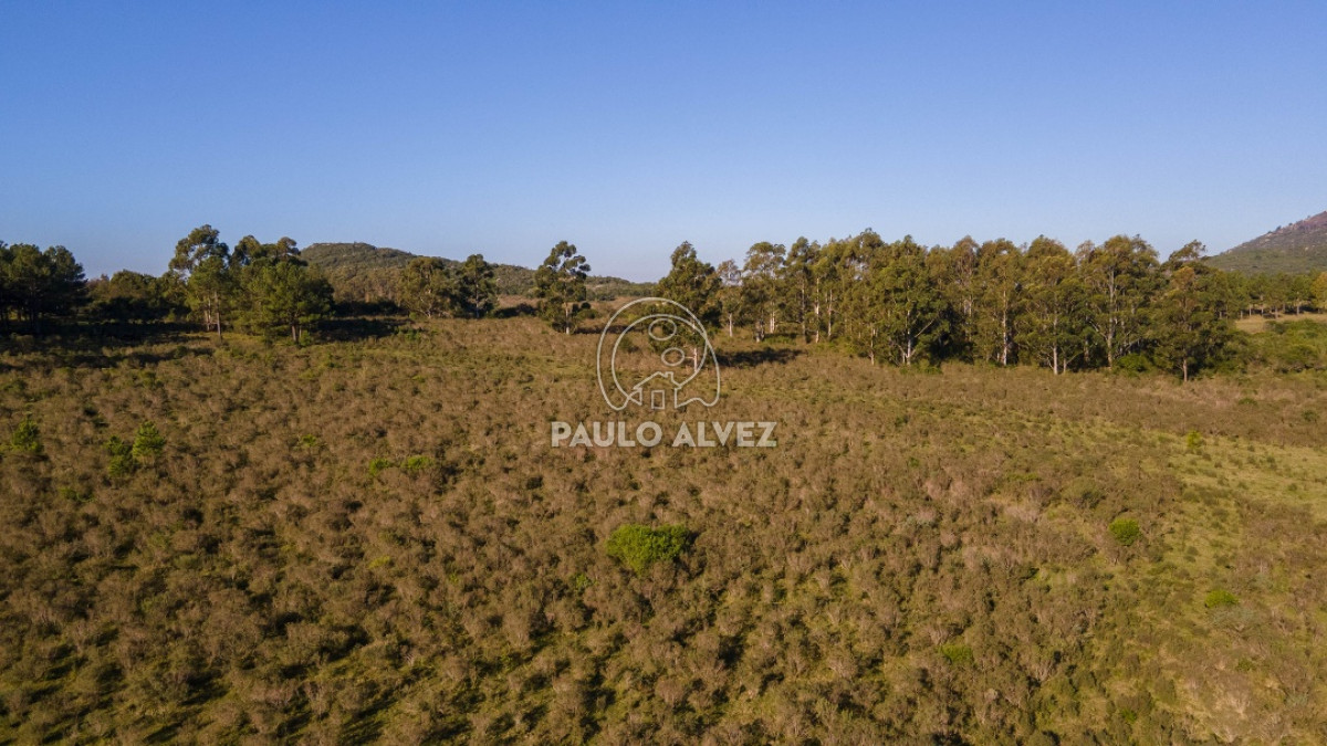 Piriápolis - GoPunta - Portal Inmobiliario de Punta del Este - Maldonado