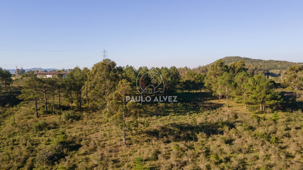 Piriápolis - GoPunta - Portal Inmobiliario de Punta del Este - Maldonado