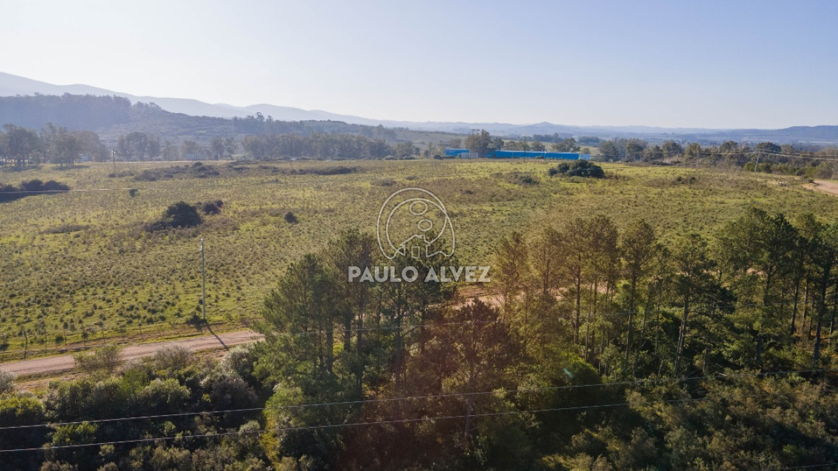 Piriápolis - GoPunta - Portal Inmobiliario de Punta del Este - Maldonado