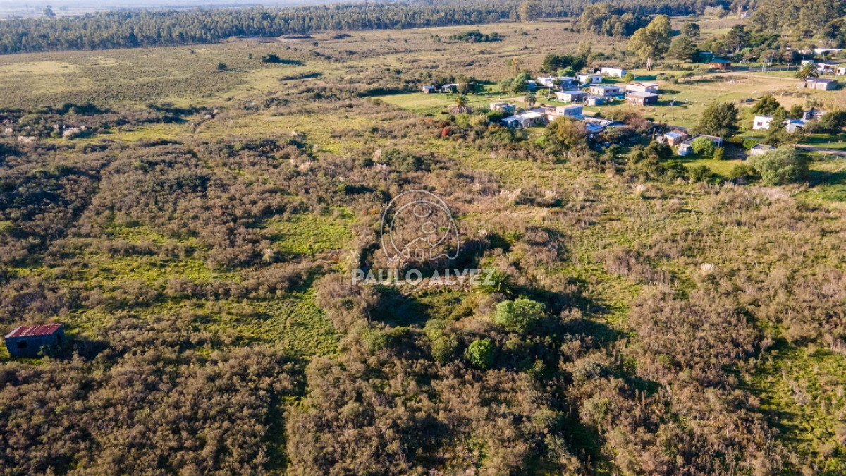 Cerros Azules - GoPunta - Portal Inmobiliario de Punta del Este - Maldonado