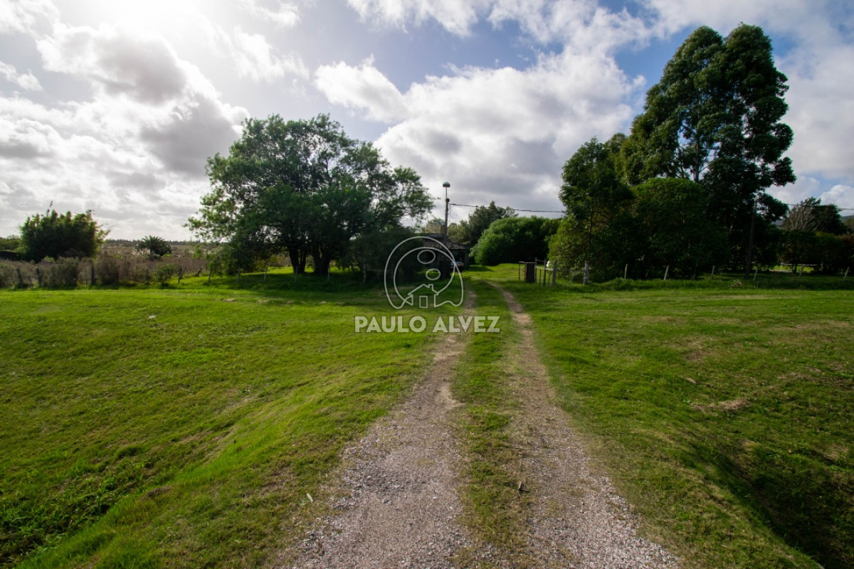 Cerros Azules - GoPunta - Portal Inmobiliario de Punta del Este - Maldonado