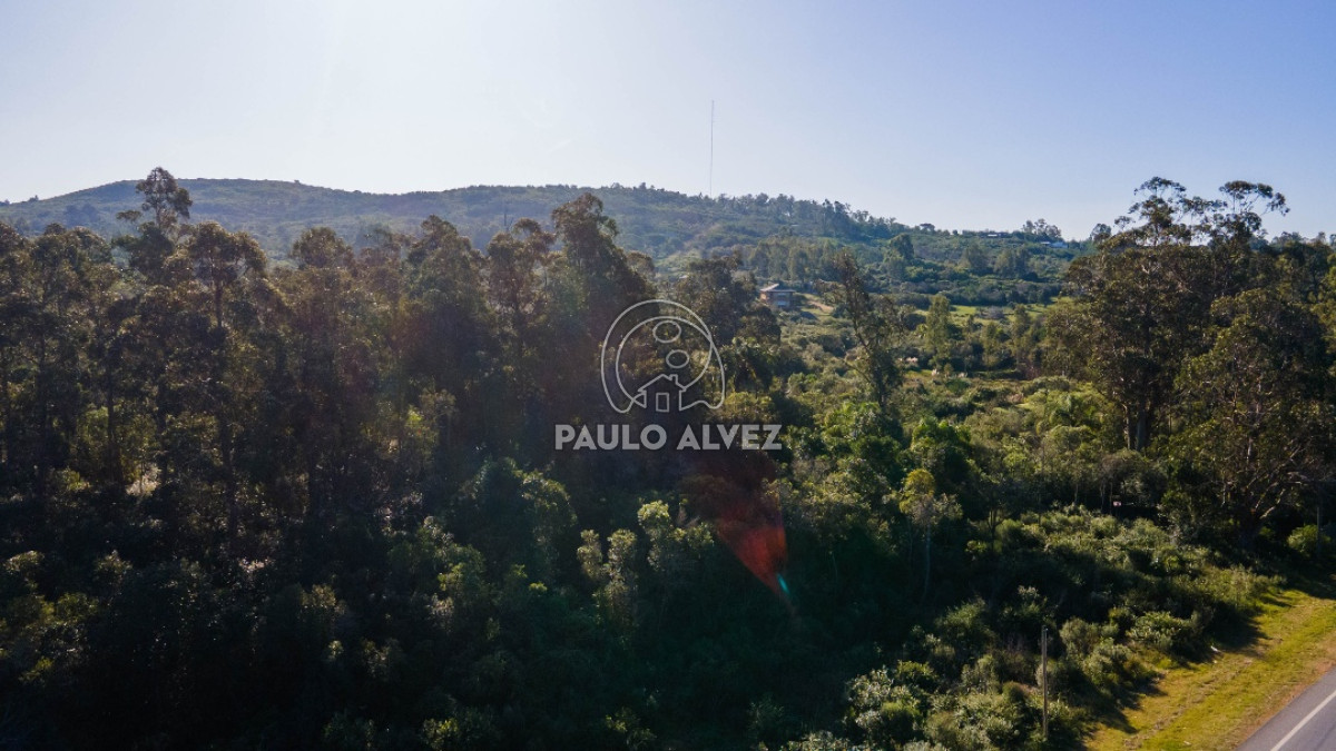 Piriápolis - GoPunta - Portal Inmobiliario de Punta del Este - Maldonado
