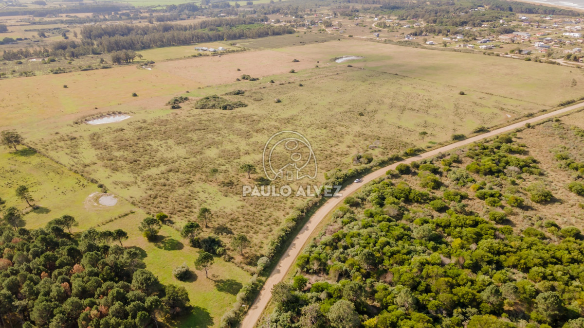 Punta Negra - GoPunta - Portal Inmobiliario de Punta del Este - Maldonado
