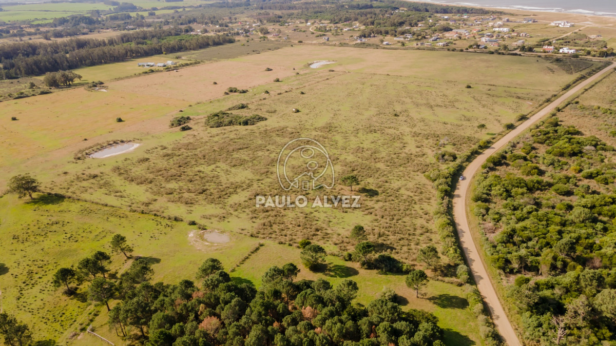 Punta Negra - GoPunta - Portal Inmobiliario de Punta del Este - Maldonado