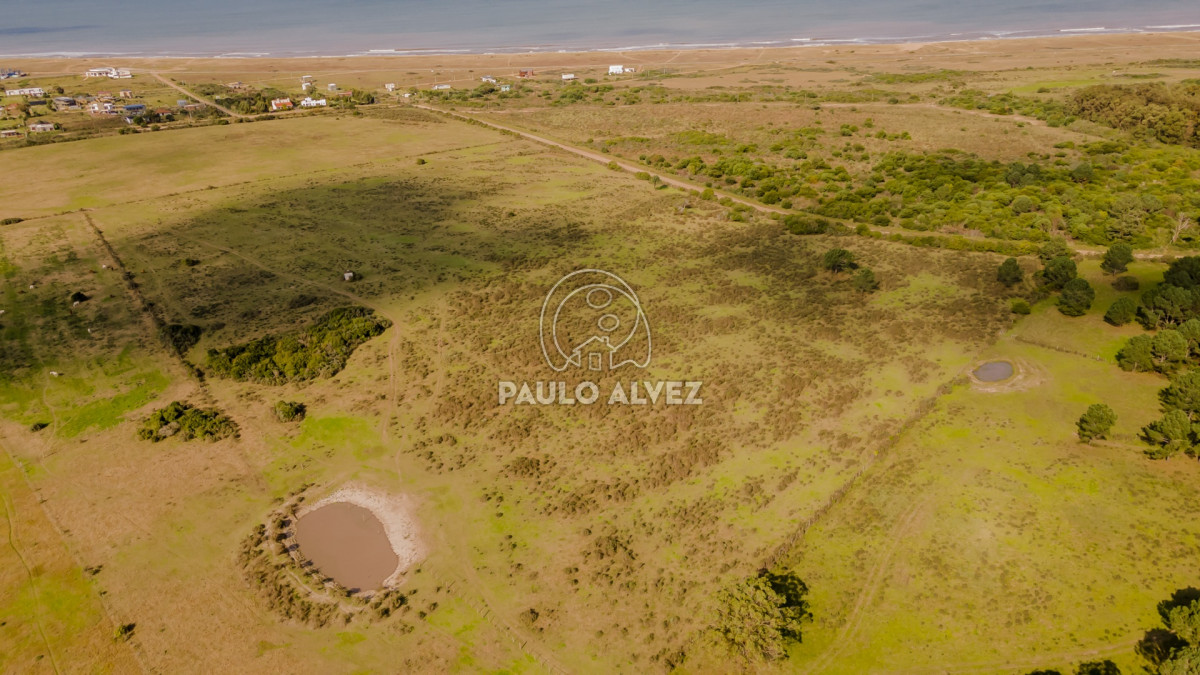 Punta Negra - GoPunta - Portal Inmobiliario de Punta del Este - Maldonado