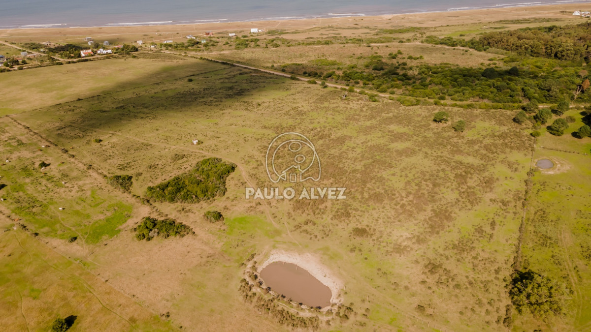 Punta Negra - GoPunta - Portal Inmobiliario de Punta del Este - Maldonado