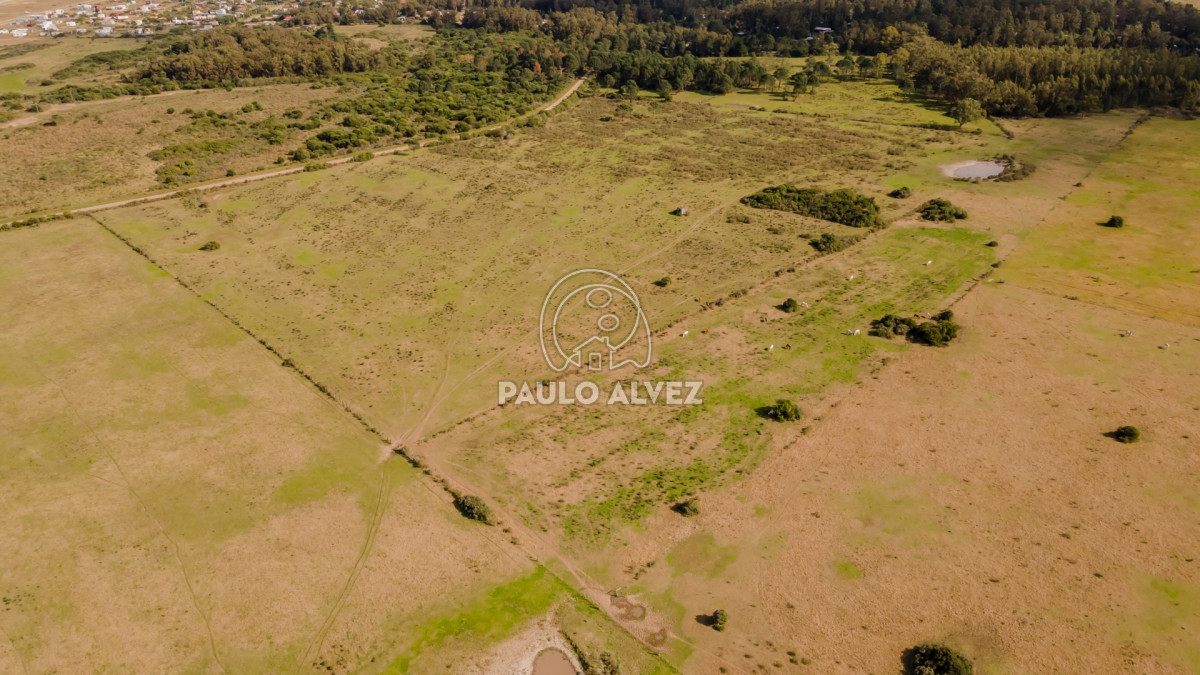 Punta Negra - GoPunta - Portal Inmobiliario de Punta del Este - Maldonado