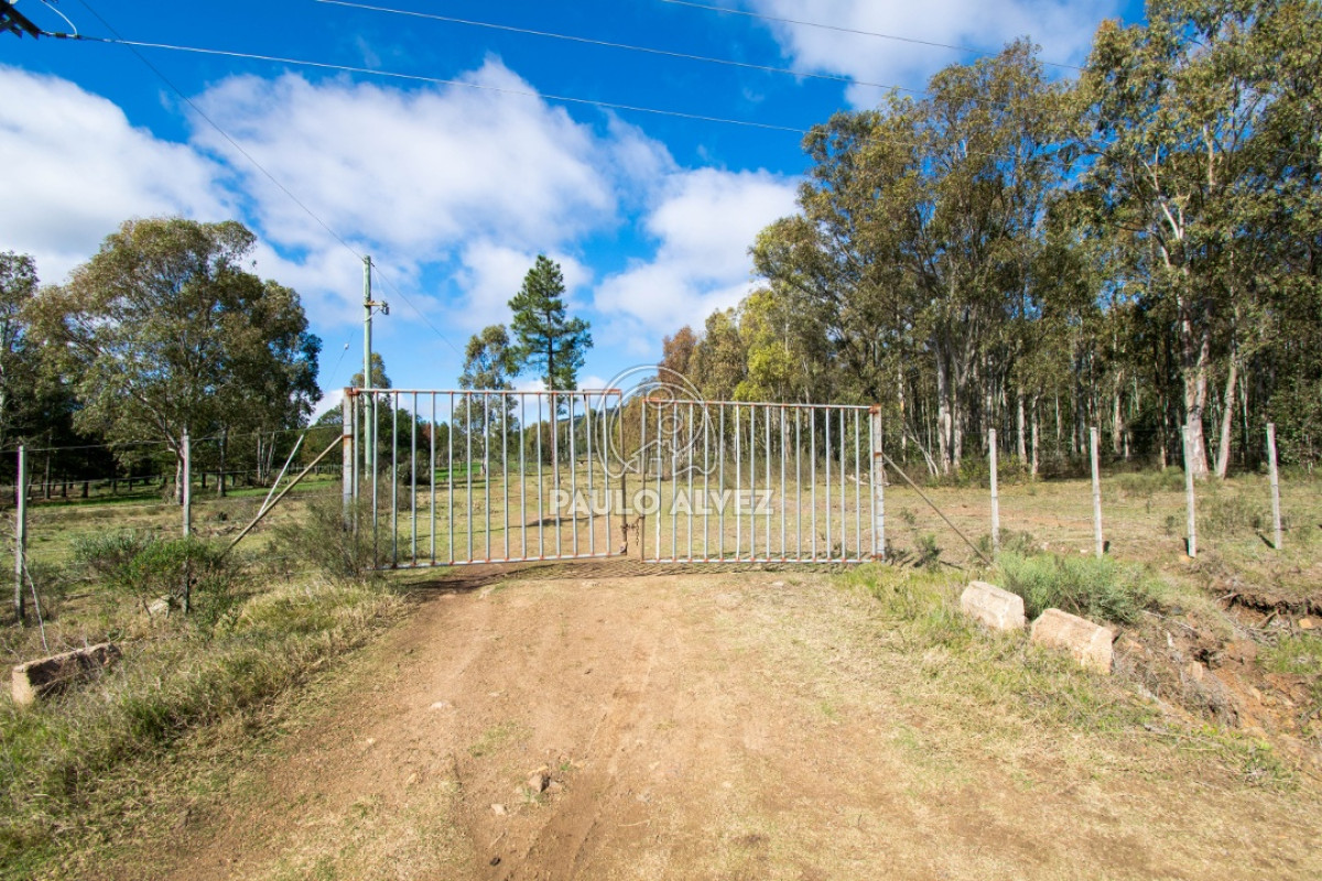 Piriápolis - GoPunta - Portal Inmobiliario de Punta del Este - Maldonado