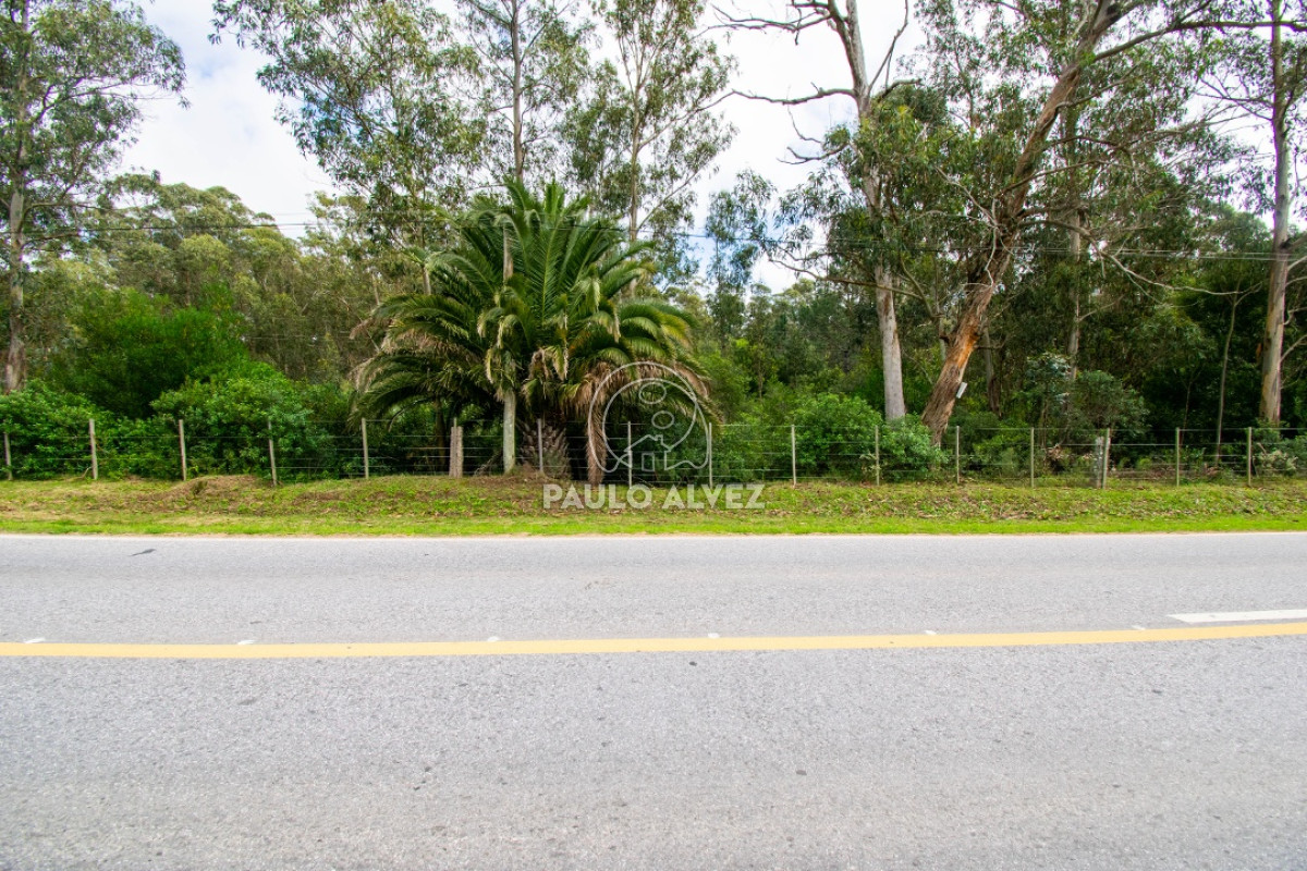 Piriápolis - GoPunta - Portal Inmobiliario de Punta del Este - Maldonado