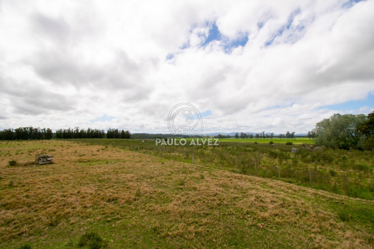 Canelones - GoPunta - Portal Inmobiliario de Punta del Este - Maldonado