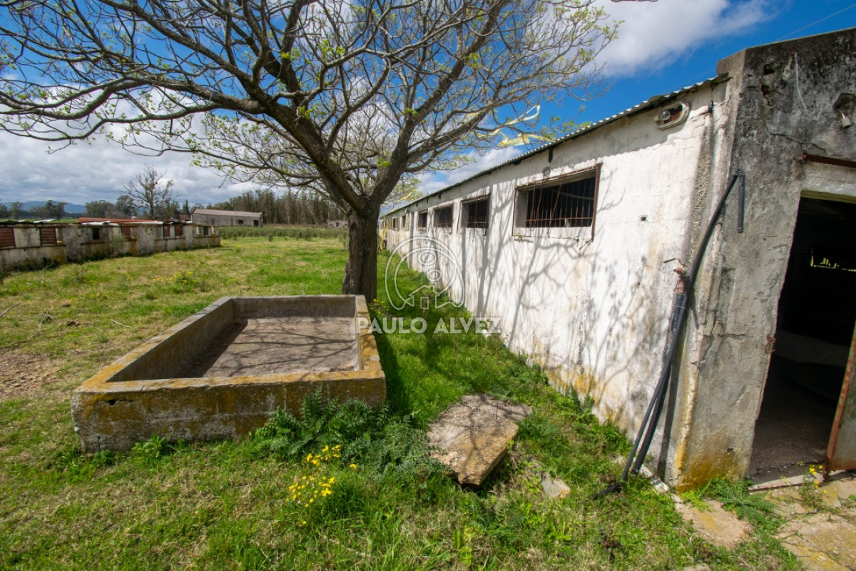 Canelones - GoPunta - Portal Inmobiliario de Punta del Este - Maldonado