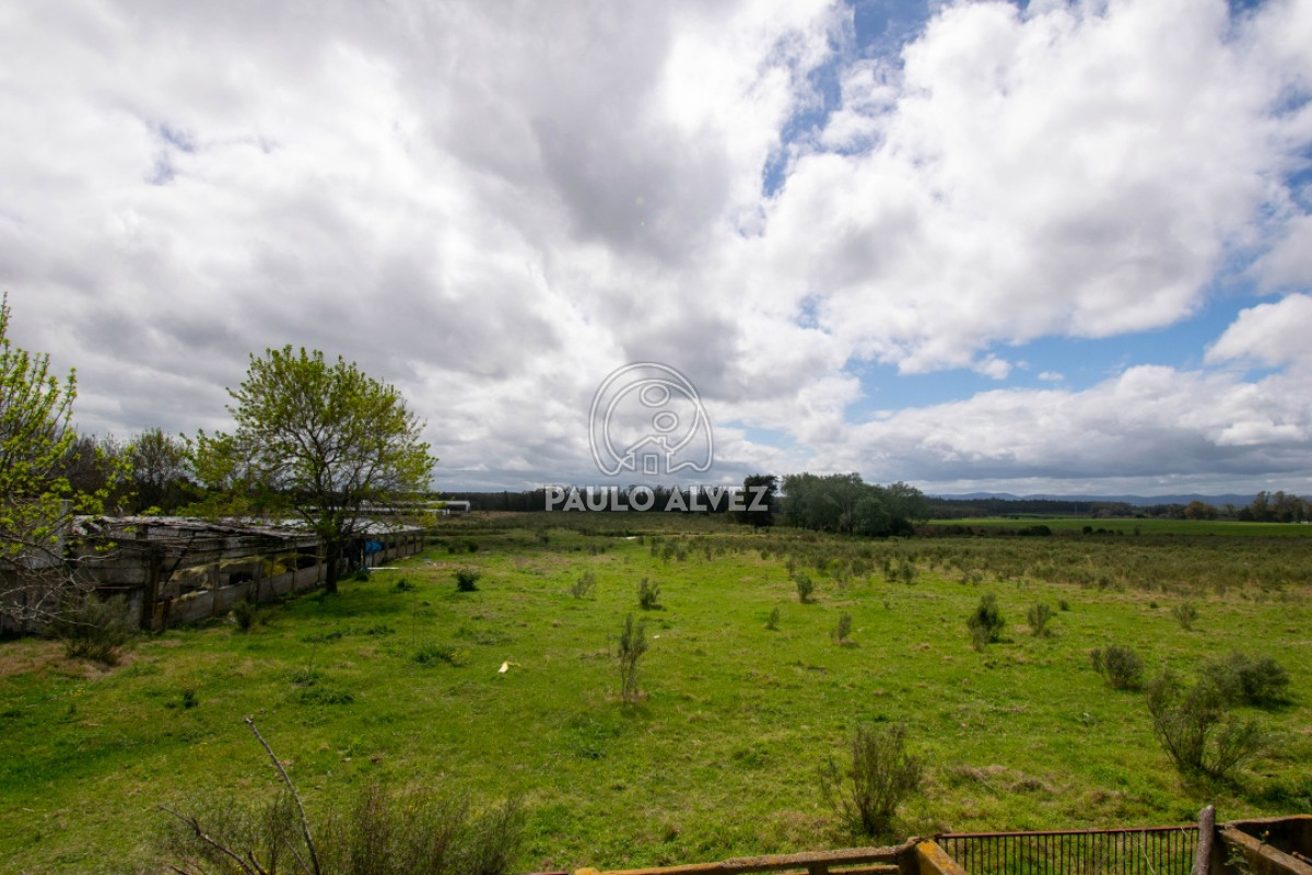Canelones - GoPunta - Portal Inmobiliario de Punta del Este - Maldonado
